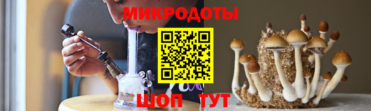 Малгобек  Псилоцибиновые грибы Cubensis  цена   Вход с VPN 